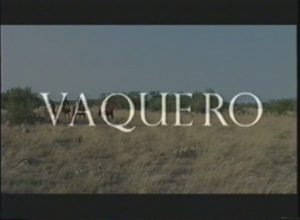 <i>Vaquero</i>